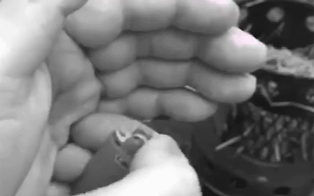 1 (1).gif
