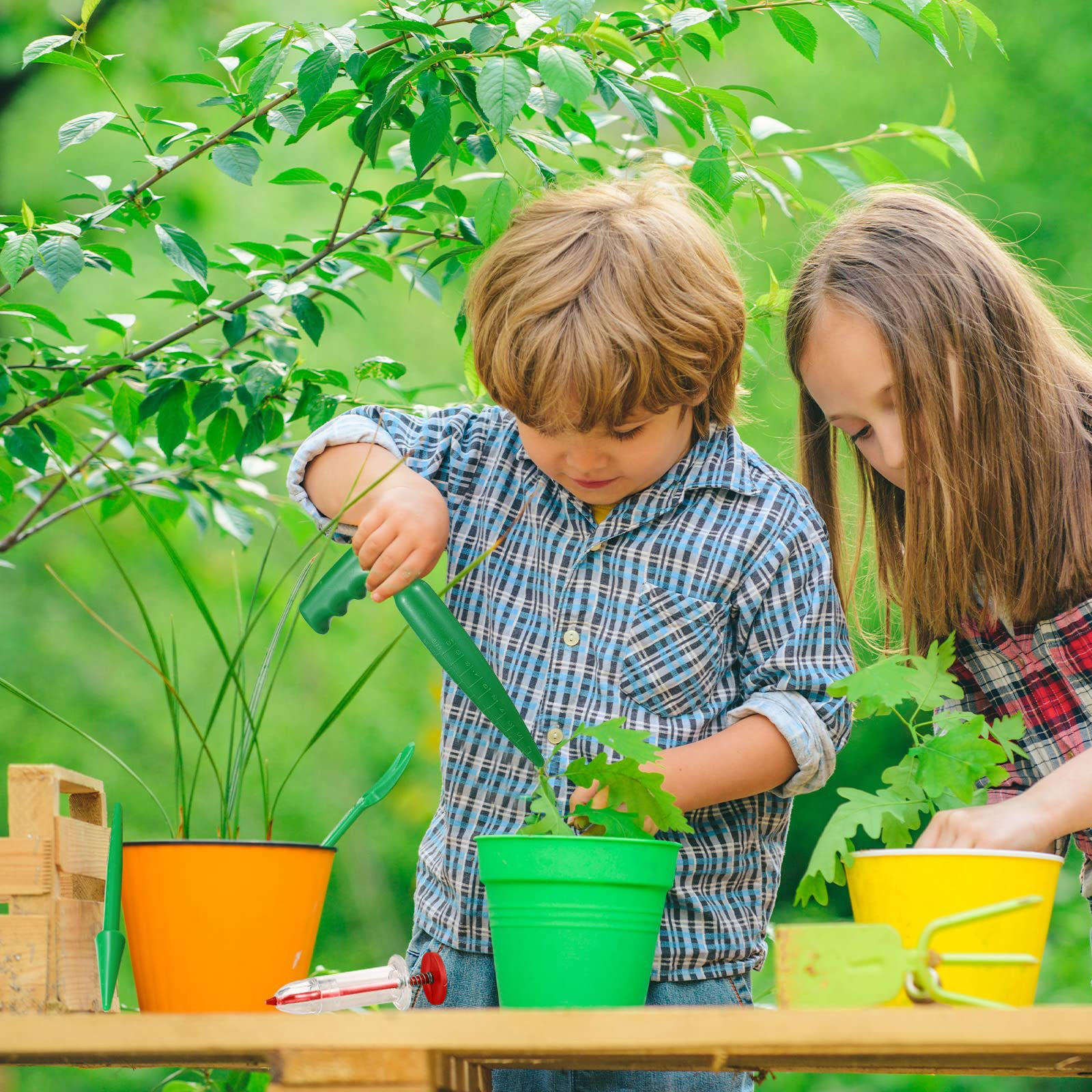 휴대용 분재 도구 활용 모습