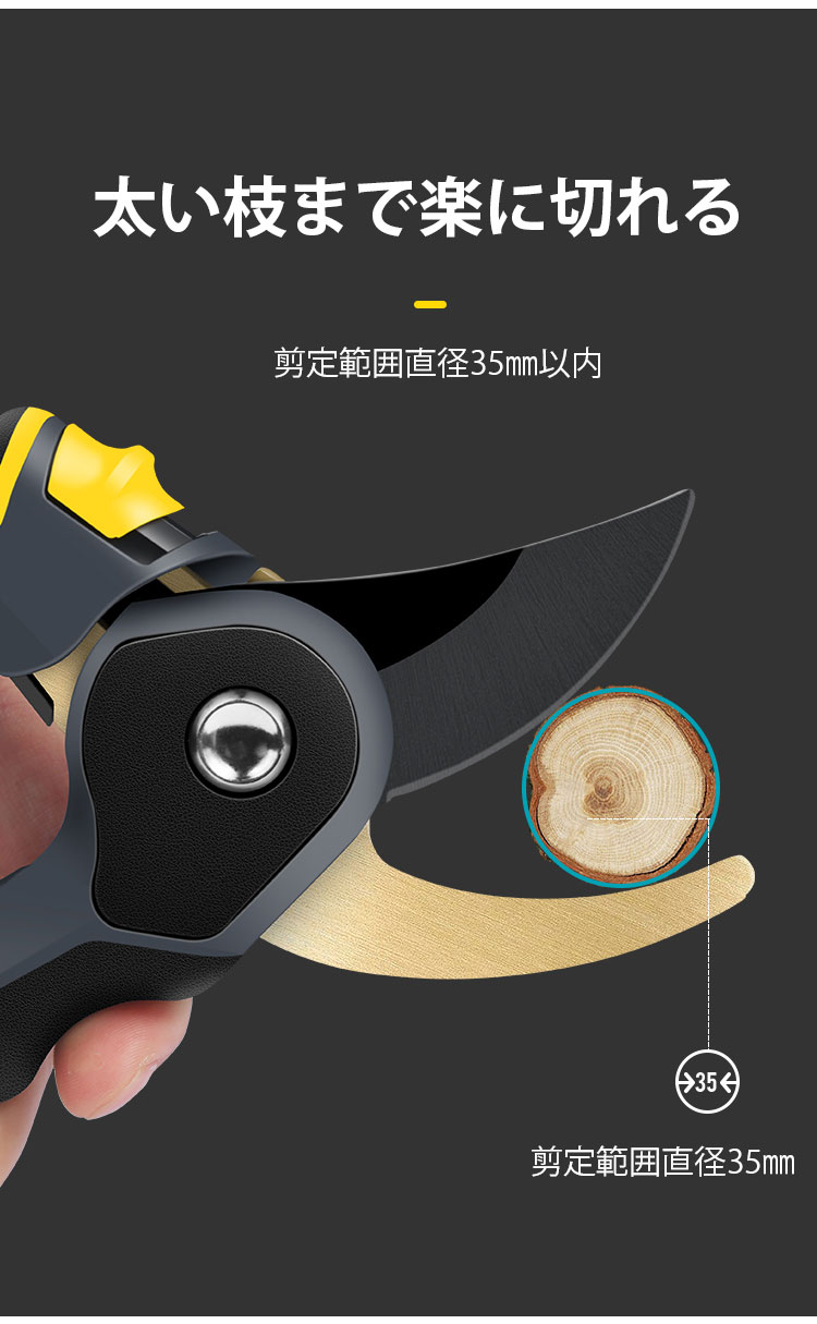 高品質ステンレス製の剪定はさみ