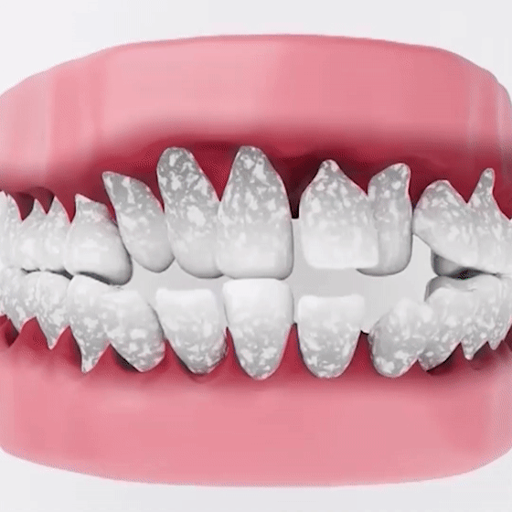 序列 15_1[00-00-00--00-00-05].gif