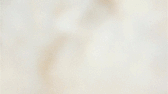 ふんわり柔らかい裏ボアパーカー生地アップ